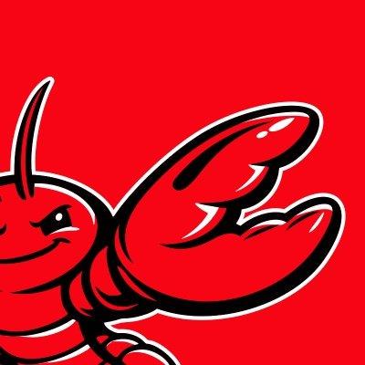OpenClaw 商业定制版 — 项目发布书